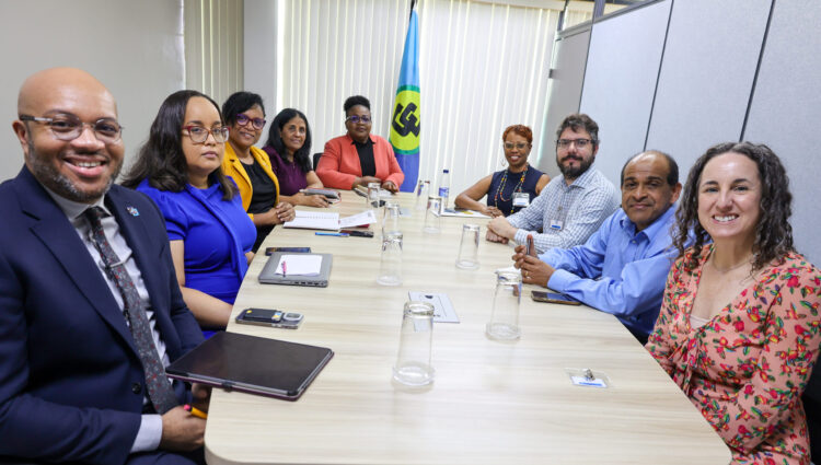 CARICOM Secretariat: Beverly Harry-Emmanuel — Advisor, Social Development, and Officer-in-Charge, Human and Social Development Directorate (far left); Dr Wendy Telgt Emanuelson — Director, PANCAP Coordinating Unit (third from left), Tamara Bobb — Programme Manager, Health Sector Development (fourth from left) and Dr Shanti Singh-Anthony — Knowledge Coordinator, PANCAP Coordinating Unit (second from left) and Timothy Austin—Communications Officer (fifth from left). PAHO/WHO Regional Validation Committee (RVC): Sandra Jones — Advisor, HIV/STI, TB and Viral Hepatitis (far right), Dr Leandro Sereno Soares — Advisor, Viral Hepatitis Prevention and Control (second from right), Jodie Dionne — Chair, Regional Validation Committee (fourth from right) and Dr Shabbir Argaw — Member, Regional Validation Committee (third from right)