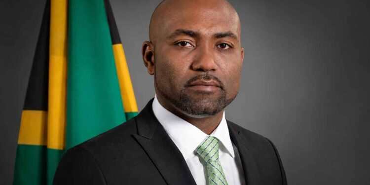 Minister Without Portfolio in the Office of the Prime Minister, Dr. Andrew Wheatley