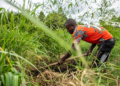 A man works with bamboo near the Rwizi river in Mbarara, Uganda, on March 9, 2024. /VCG