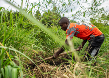 A man works with bamboo near the Rwizi river in Mbarara, Uganda, on March 9, 2024. /VCG