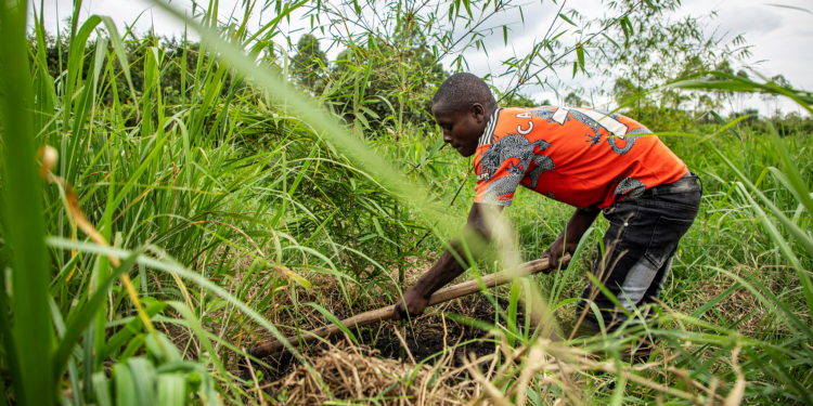 A man works with bamboo near the Rwizi river in Mbarara, Uganda, on March 9, 2024. /VCG
