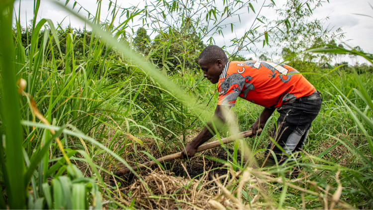 A man works with bamboo near the Rwizi river in Mbarara, Uganda, on March 9, 2024. /VCG