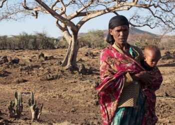 OCHA/Charlotte Cans The El Niño-induced drought in Ziway Dugda, Oromia region of Ethiopia, is affecting every family and they don't have enough food at home to feed themselves. (file photo).