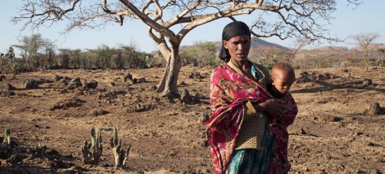 OCHA/Charlotte Cans The El Niño-induced drought in Ziway Dugda, Oromia region of Ethiopia, is affecting every family and they don't have enough food at home to feed themselves. (file photo).