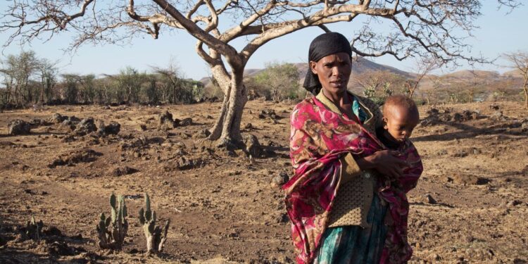 OCHA/Charlotte Cans The El Niño-induced drought in Ziway Dugda, Oromia region of Ethiopia, is affecting every family and they don't have enough food at home to feed themselves. (file photo).