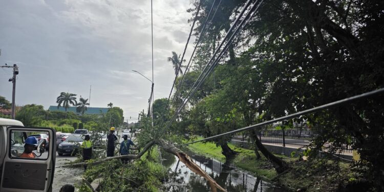 A scene from the storm that wreaked havoc on the Essequibo Coast (Credible Source photo)