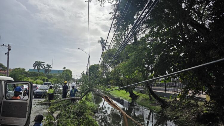 A scene from the storm that wreaked havoc on the Essequibo Coast (Credible Source photo)