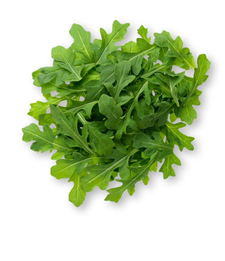 Arugula (Google photo)