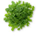 Arugula (Google photo)