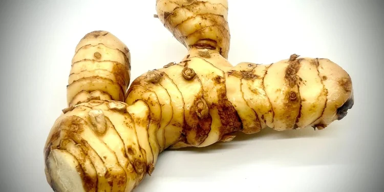 Galangal root (Google photo)