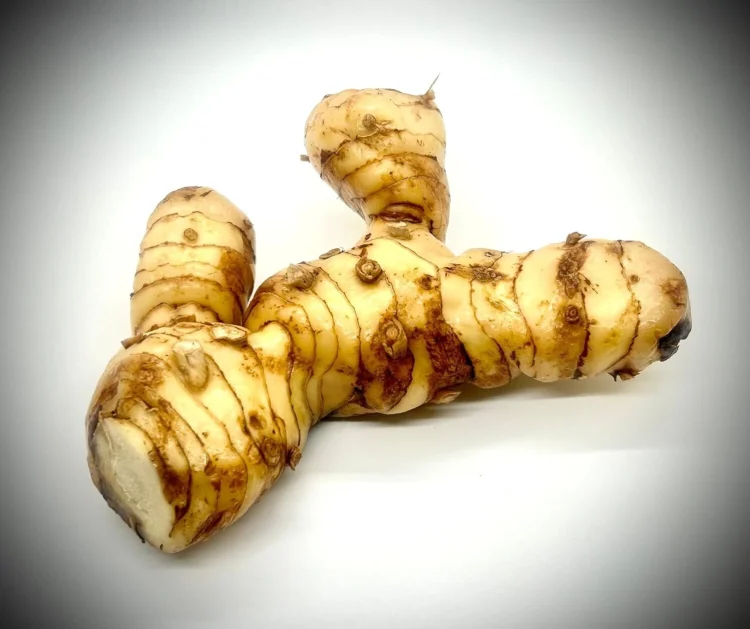 Galangal root (Google photo)