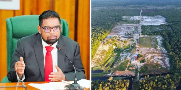 President Irfaan Ali and his farm at Long Creek