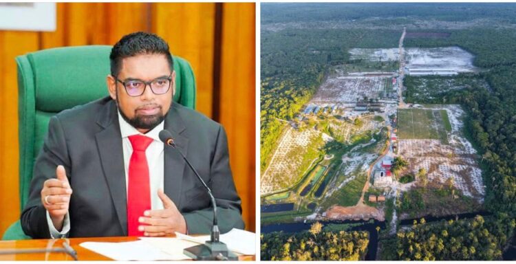 President Irfaan Ali and his farm at Long Creek