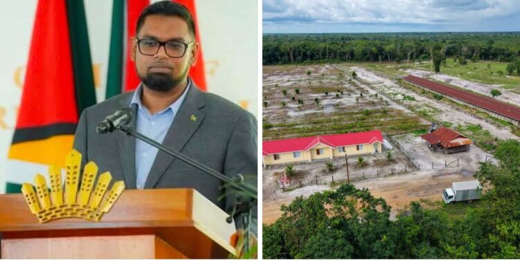 President Irfaan Ali and his 150-acre ranch