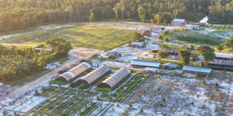 President Irfaan Ali mega farm- more than 200 acres