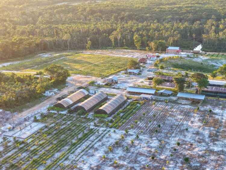 President Irfaan Ali mega farm- more than 200 acres