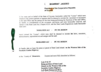 President Irfaan Ali lease land