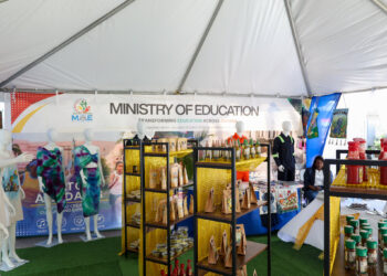 COHSOD-Exhibition-Exhibition (CARICOM photo