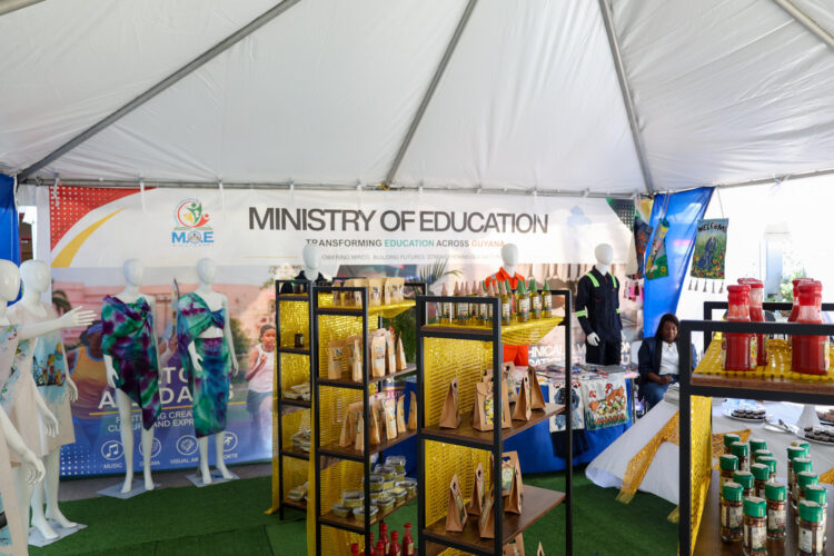 COHSOD-Exhibition-Exhibition (CARICOM photo