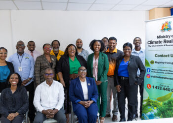 Group Photo Grenada consultation (CARICOM photo)