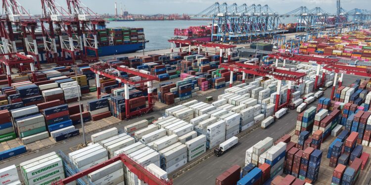 Containers are handled at a foreign trade terminal in Qingdao, east China's Shandong Province, August 13, 2026. /VCG