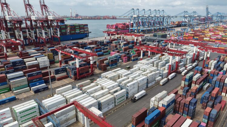 Containers are handled at a foreign trade terminal in Qingdao, east China's Shandong Province, August 13, 2026. /VCG