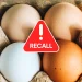 Salmonella is one of the most common foodborne pathogens in the U.S.
Credit- Olga Rolenko / Getty Images / Health.com