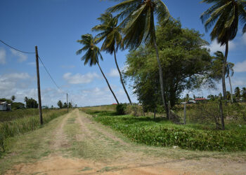 Litchfield,  West Coast Berbice (GC photo)