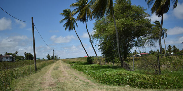Litchfield, West Coast Berbice (GC photo)