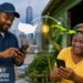 Caribbean people have been travelling north to work and sending the money home since before the Panama Canal was cut. Jamaica alone recorded US$3.49 billion in remittance inflows in 2025.
