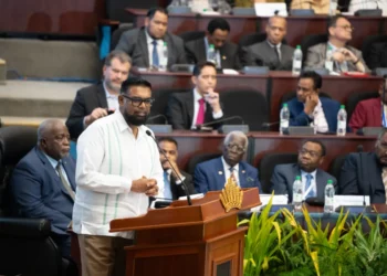 President Mohammed Irfaan Ali