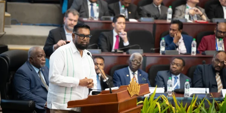President Mohammed Irfaan Ali