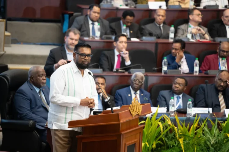 President Mohammed Irfaan Ali