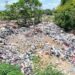 Garbage in Mahdia (MP Sherod Duncan's photo)