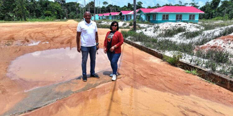 MPs Sherod Duncan and Juretha Fernandes at Five Mile Road  Housing Development Project (MP Sherod Duncan photo)