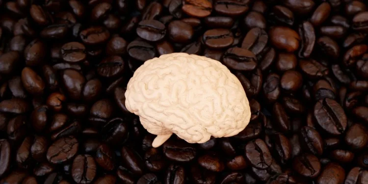 Image Credit: Valery Evlakhov / Shutterstock