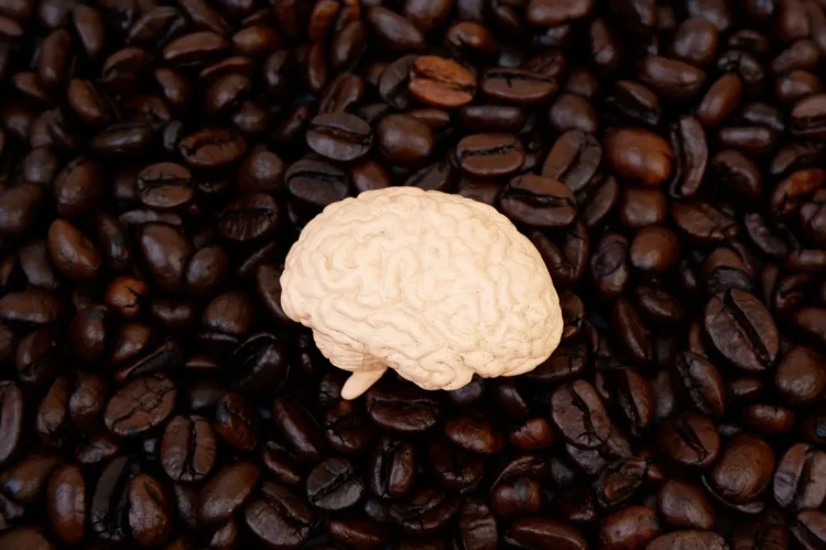 Image Credit: Valery Evlakhov / Shutterstock