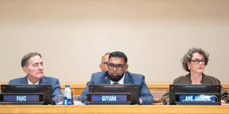 President Dr Mohamed Irfaan Ali addressed a high-level dialogue held on the sidelines of the 81st United Nations General Assembly (UNGA)