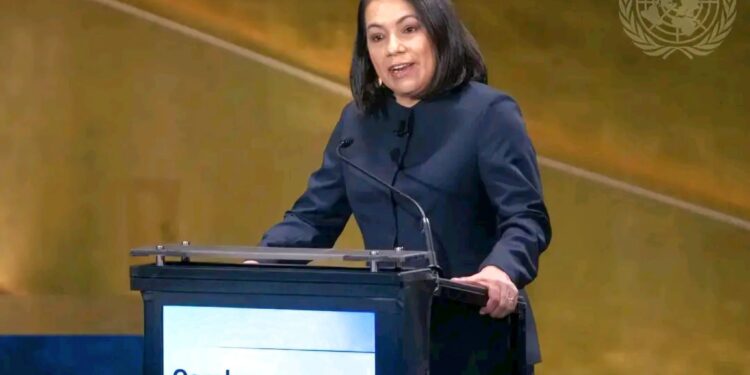 UN Ambassador, Carolyn Rodrigues-Birkett,
