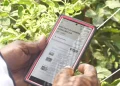 A farmer from Essequibo demonstrates how the app is used