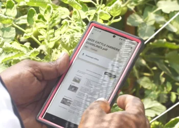 A farmer from Essequibo demonstrates how the app is used