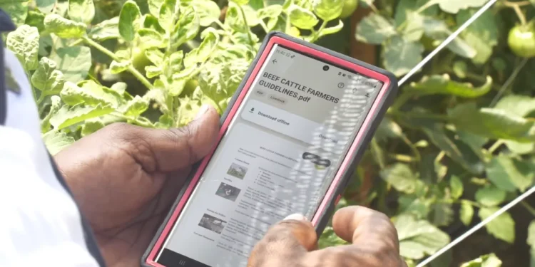 A farmer from Essequibo demonstrates how the app is used