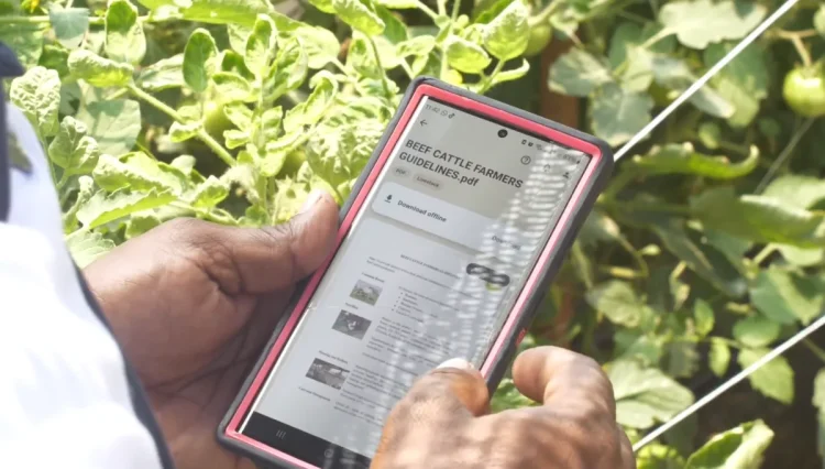 A farmer from Essequibo demonstrates how the app is used
