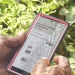 A farmer from Essequibo demonstrates how the app is used