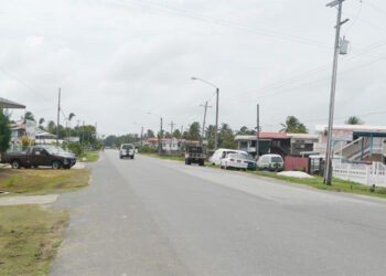 A section of No 12 Village (Stabroek News photo)