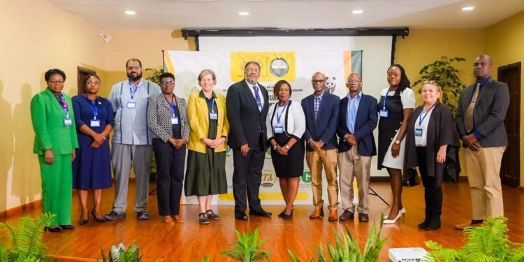 From left: Dr. Donna Morrison, Co-Chair, Fourth Graduate Research Symposium; Dr. Dianna DaSilva-Glasgow, Dean, Faculty of Social Sciences, University of Guyana; Dr. Davon Van-Veen, Assistant Dean (Administration) and Head, Department of Graduate Studies, College of Medical Sciences; Ms. Aeisha Williams – Conservation Director, World Wildlife Fund-Guianas ; Ms. Katy Thompson, UNDP Resident Representative for Guyana and Suriname; Professor Michael Taylor, former Dean, Faculty of Science and Technology, Mona Campus, The University of the West Indies; Professor Paulette Bynoe, Dean, School of Graduate Studies and Research and Chair, Symposium Planning Committee; Dr. Collin Henry, Biodiversity Specialist at the Ministry of Natural Resources, Professor Emanuel Cummings, Deputy Vice-Chancellor, Academic Engagement, University of Guyana; Ms. Jenelle Blackman, Project Specialist, Inter-American Institute for Cooperation on Agriculture (IICA); Professor Judith Rosales, School of Graduate Studies and Research, University of Guyana; and Mr. Curtis Bernard – Vice President, Conservation International Guyana.
