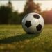 football (Google photo)