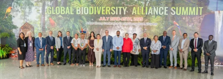 President Dr Mohamed Irfaan Ali along with members of the GBA
