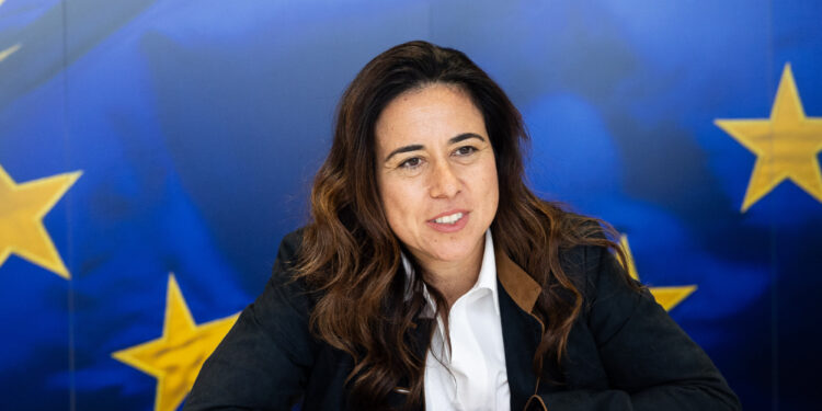 Lana Nusseibeh (Google photo)