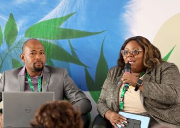 Teshia Jn Baptiste, Senior Project Officer, Sustainable Development, CARICOM Secretariat, makes an intervention during one of the side events at COP 17. (Photo via OECS)
